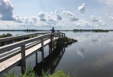 Terrell's Island景点图片
