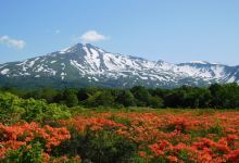 桑の木台湿原景点图片