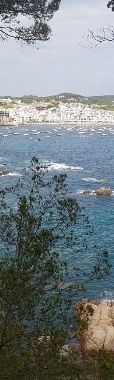 Cala El Golfet-帕拉弗鲁赫尔