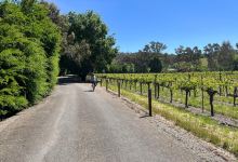 Riesling Trail Bike Hire购物图片
