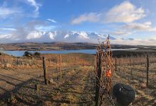Rocky Point Vineyard景点图片