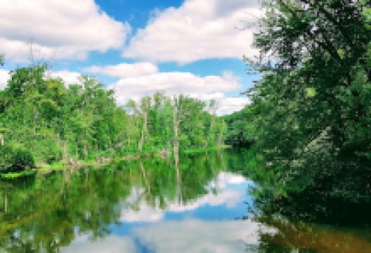 Huron River Foot Bridge景点图片