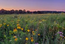 Silent Street Pond Park景点图片