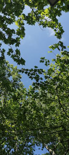 Derekızık Köyü Kalkınma Kkop.-布尔萨