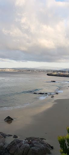 San Carlos Beach Park-蒙特雷