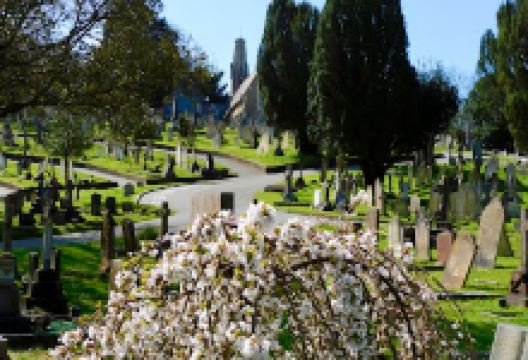 Guernsey Gardens购物图片