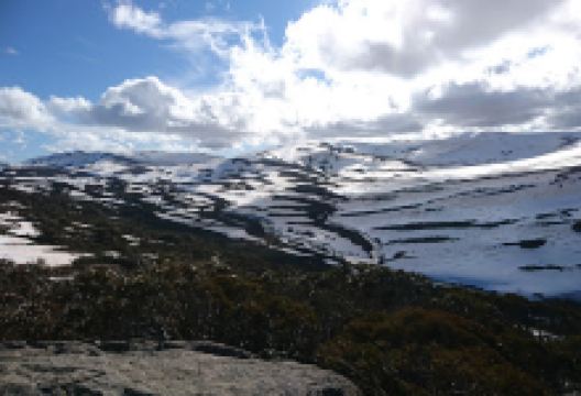Spencers Creek景点图片
