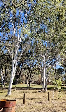 Violet Valley Campground-奥德里弗