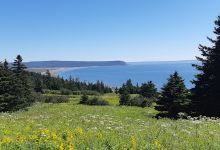 ADDA Fundy Tides Campground & Restaurant景点图片