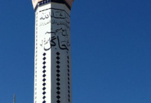 Jagal Mosque جاګل مسجد景点图片