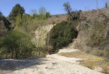 Torrent de Can Torres景点图片