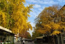 Haskovo Sundial景点图片