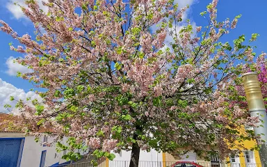 Centro Interpretativo Do Mundo Rural