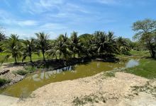 Hacienda Zaldivar景点图片