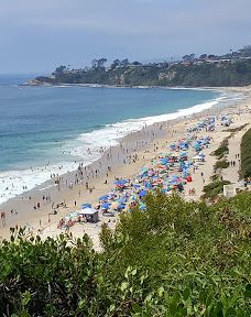 Salt Creek Beach-达纳点