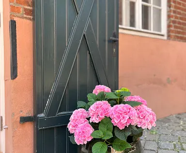Overbeck-Museum