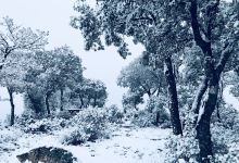 Cerro De Medio Mundo景点图片