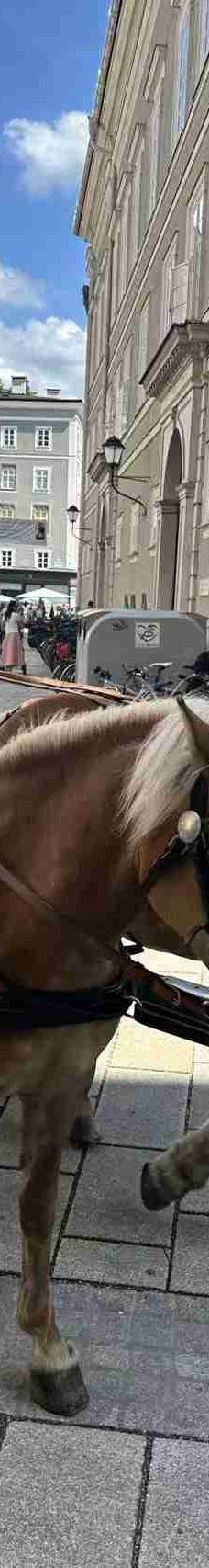 萨尔茨堡老城区-萨尔茨堡-YoYo_7A8M1R4T