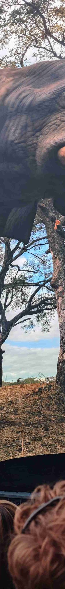 拉斯维加斯-YoYo_4O2P9U7I