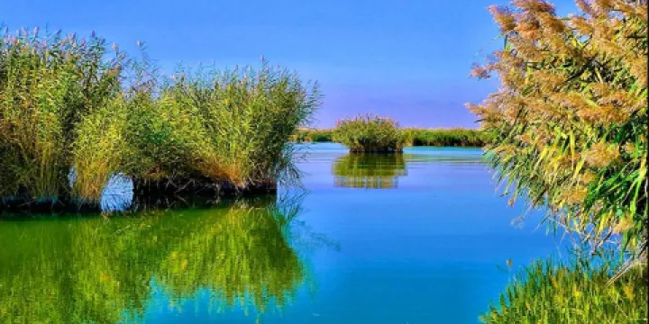 黑裏河國家級自然保護區