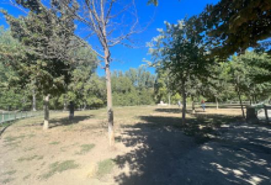 Parc caní de l'horta del Valira景点图片