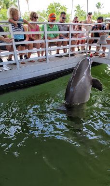 Theater of the Sea-伊斯拉莫拉达