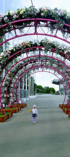 奇尼塞利马戏团-圣彼得堡