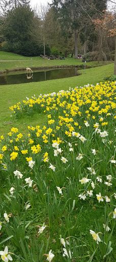 Nerotal-Anlagen-威斯巴登