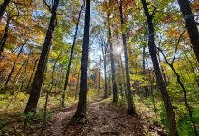 Conway Robinson SF Trailhead景点图片