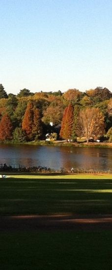 约翰内斯堡植物园-兰德堡