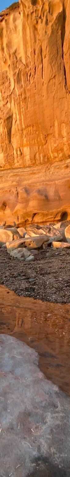 多利松国家自然保护区-佐拉