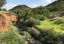 Klipriviersberg Nature Reserve景点图片