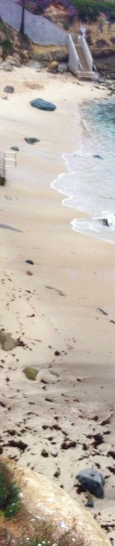 多利松国家自然保护区-佐拉