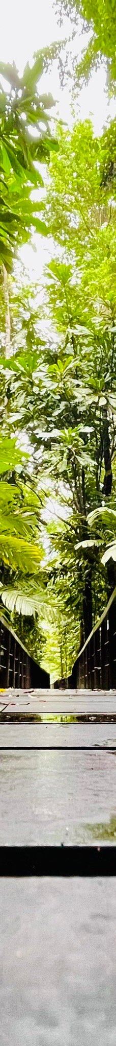 卡维塔国家公园-Talamanca