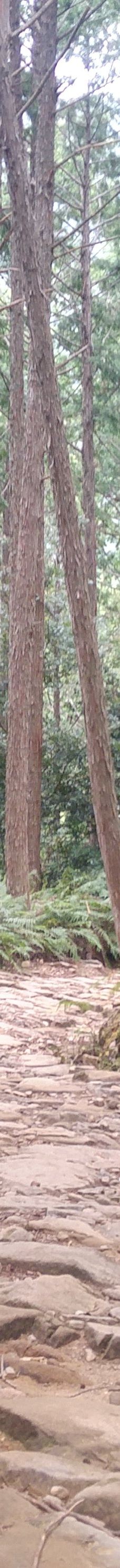 Kumano Kodo Kan Pilgrimage Center-田边市