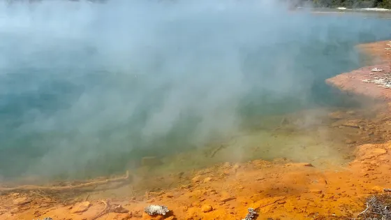 Waiotapu Boardwalk/ Mud Pool