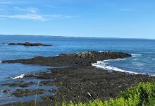 Quoddy Head State Park景点图片