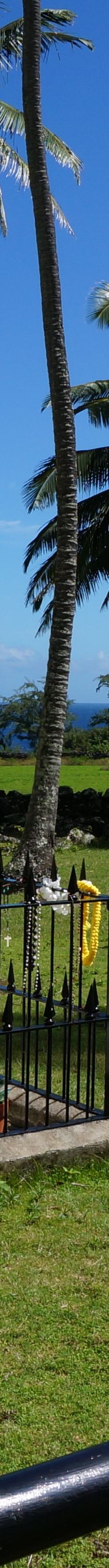 卡劳帕帕国家历史公园-卡拉瓦奥县