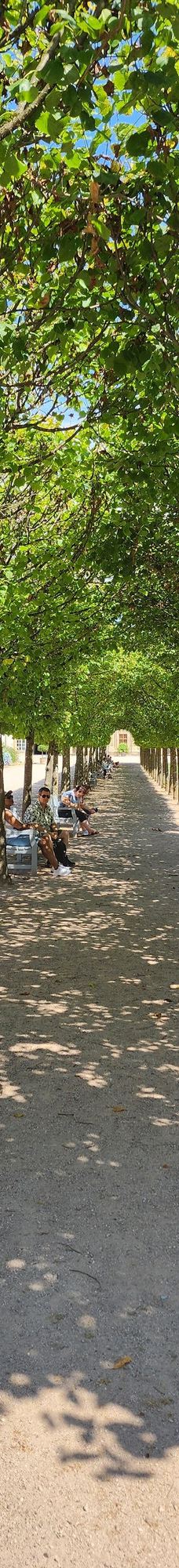 Schloss Favorite-拉施塔特