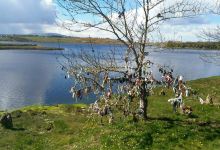 Saint Patrick's Well景点图片