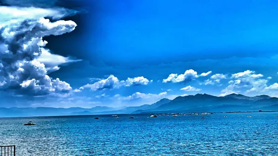 Commons Beach