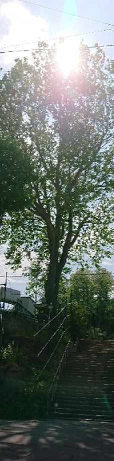 龙宫神社-指宿市