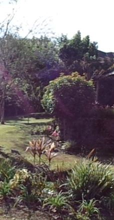 Parque Historico Jorge Kuhn-皮卡达卡夫