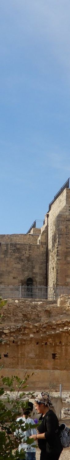 Nebi Samuel National Park-耶路撒冷