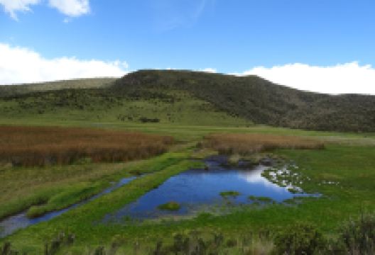 Area Nacional de Recreacion El Boliche景点图片