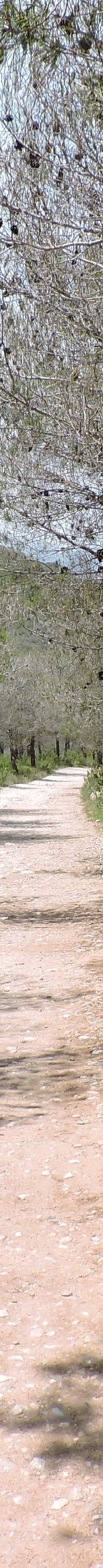 Fuente del Esparto-内尔哈