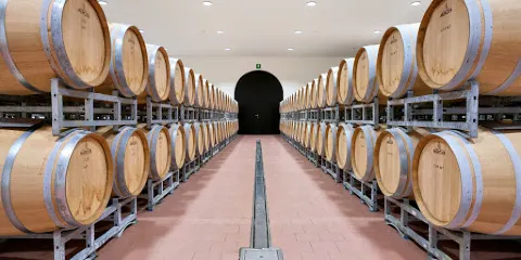 Plozza Vini Tirano