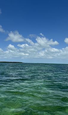 Islander Girl Snorkel & Tours-门罗县