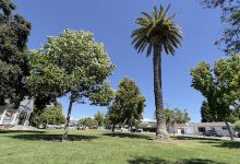 Heritage Square Park景点图片