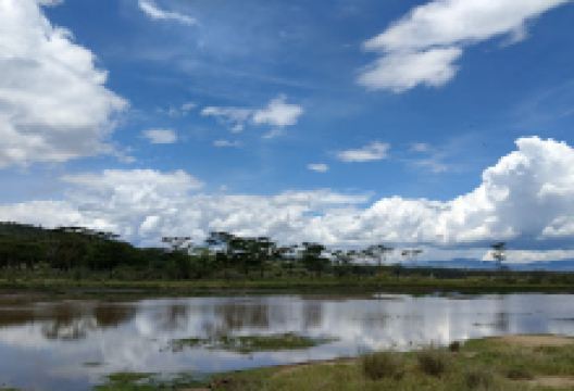 Baboon Cliff View Point景点图片